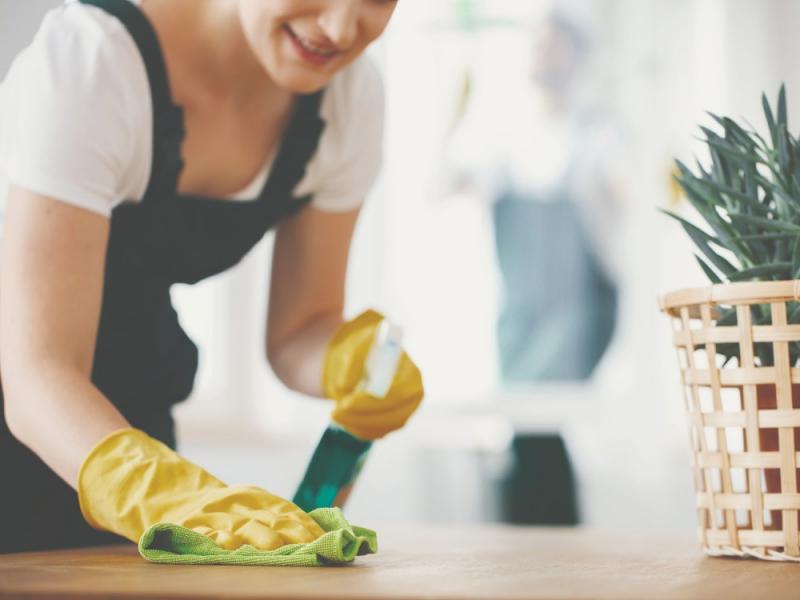 Landmark Vacations Cleaning Standards